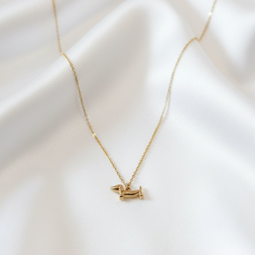 Collier Teckel
